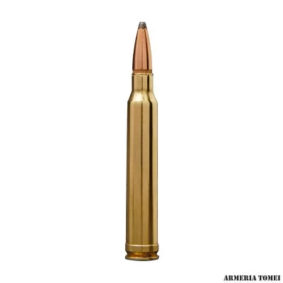 WINCHESTER – 223 REM 55GR POWER POINT