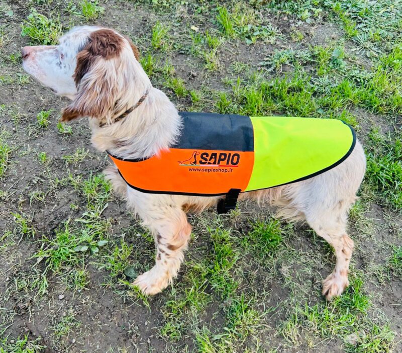 MANTELLINA SAPIO PER CANI IN CORDURA CON RIFNORZO IN KEVLAR AD ALTA VISIBILITA' CON BLOCCO DI SICUREZZA - immagine 3