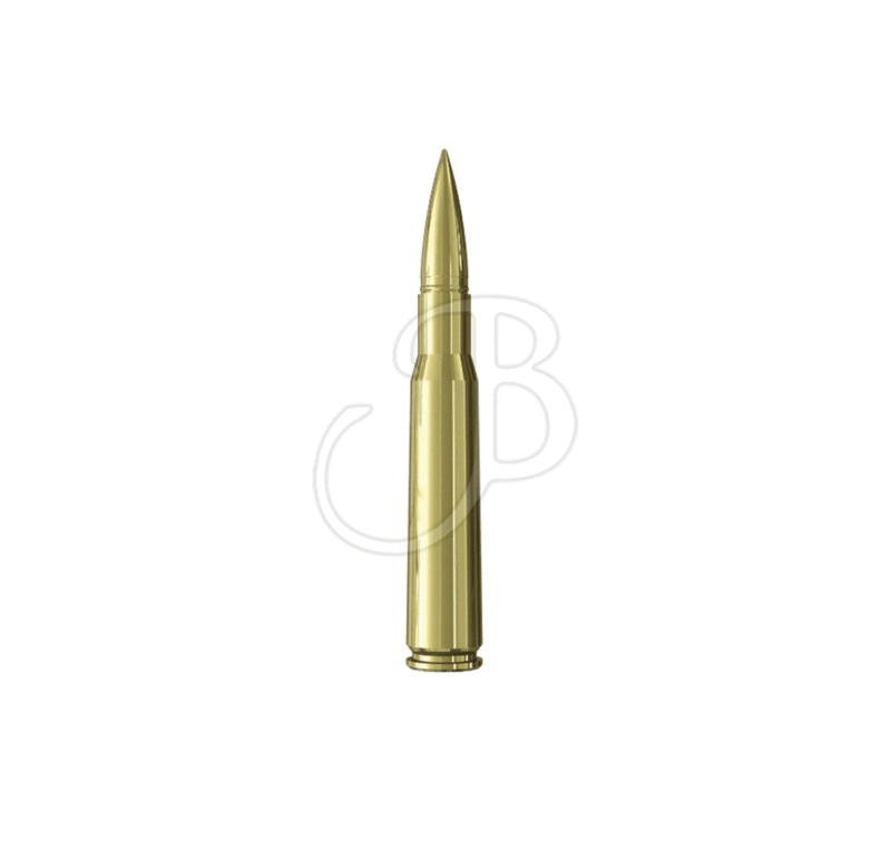 MUNIZIONI - SAX .50BMG MSG-SL 48.2G 10C - immagine 2